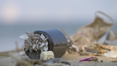 barnacles on a glass bottle