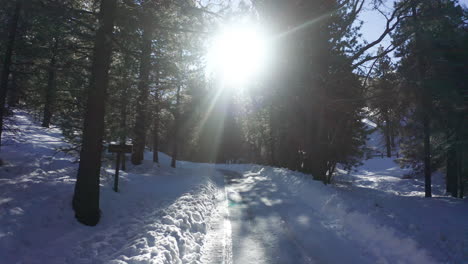 Montañas-De-Tehachapi,-California:-Caída-De-Nieve-En-El-Sendero-De-La-Montaña-Con-Altos-Pinos-En-Un-Día-Soleado:-Toma-Panorámica