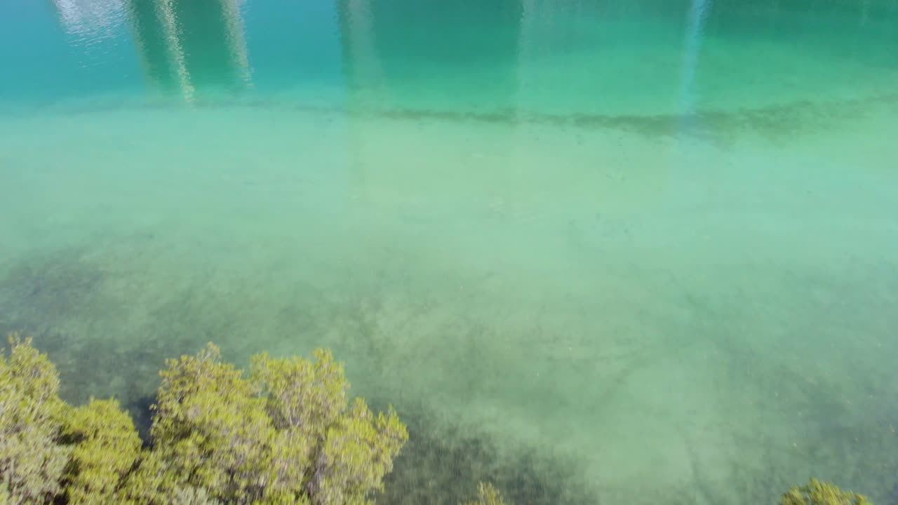 птичий глаз с воздуха над мангровыми зарослями, здания, отражающиеся в бирюзовой воде