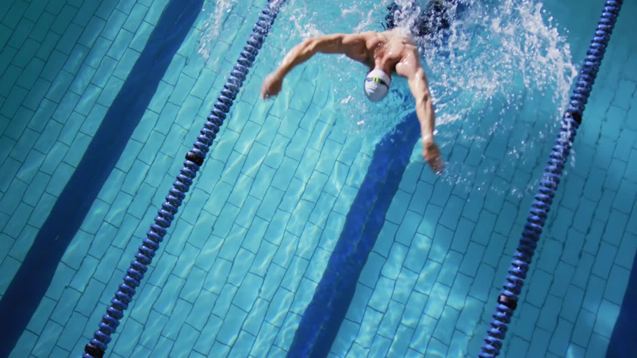 Swimmer Training In A Swimming Pool Free Stock Video Footage Download Clips