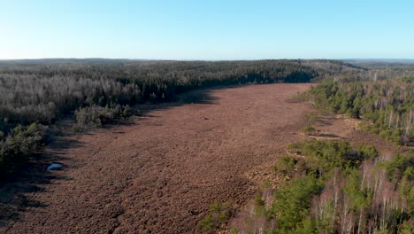 volando sobre un paisaje boscoso con campo salvaje