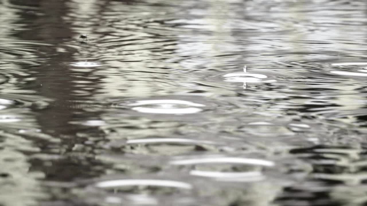 연못에 떨어지는 방울