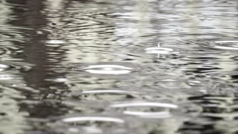 raindrops falling on the pond
