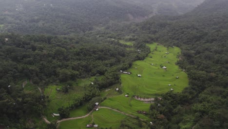 Toma-Aérea-De-Un-Espeso-Bosque-En-El-Valle-De-La-Montaña-En-Nagaland,-India