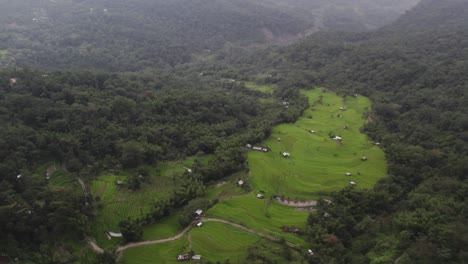 aerial shot of thick forest on the mountain valley in nagaland, india