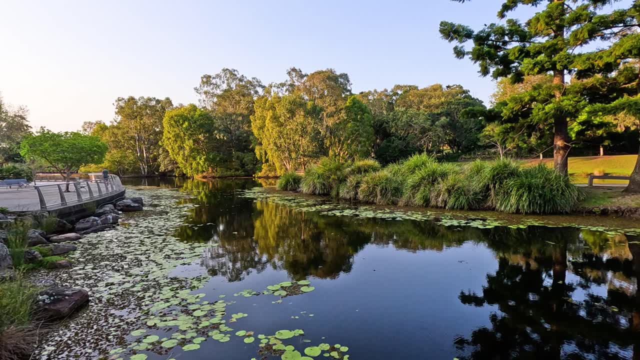 울창 한 초록색 으로 둘러싸인 조용 한 연못