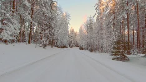 golden sun dapples winter forest trees on snow packed road pov drive finland