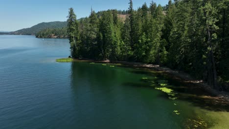 Drone-shot-of-a-cove-with-lily-pads-in-Spirit-Lake,-Idaho