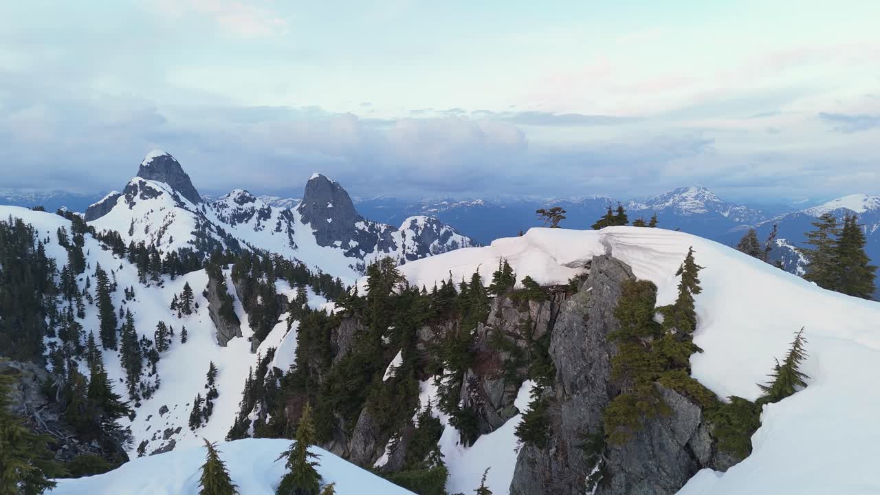 Snowy Mountain Peaks and Evergreen Trees in BC, Canada at Sunset