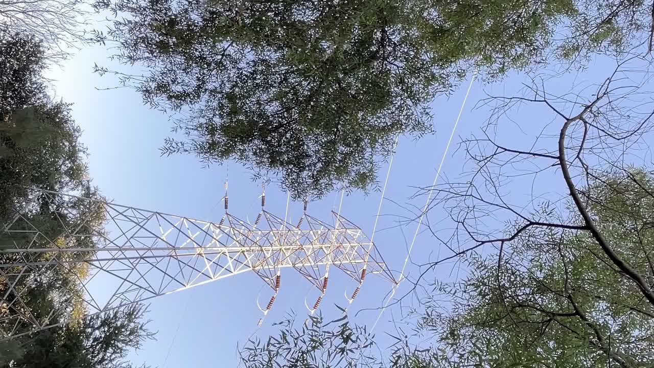 líneas eléctricas de alto voltaje que se extienden por encima del área boscosa, vista desde abajo, vertical