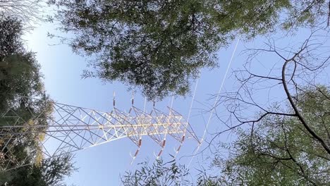 high voltage power lines stretching above woodland area, view from bellow, vertical