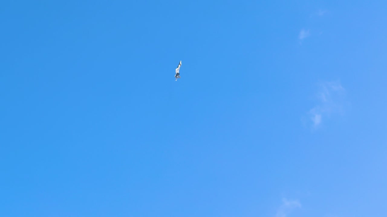 An F-22 Raptor performs aerial maneuvers against a clear blue sky at the Avalon Airshow in Geelong, Australia