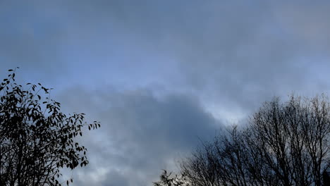 Timelapse-shot-of-fast-moving-low-clouds-behind-leafless-autumn-trees-in-Varkaus,-Northern-Savonia,-Finland,-October-2019