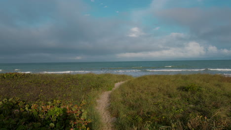 a sandy footpath winds through tall coastal grasses, leading to a calm, wave-lapped shoreline under a moody sky and patches of blue.