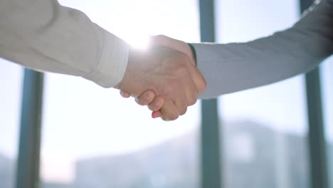 Handshake,-partnership-and-trust-in-support