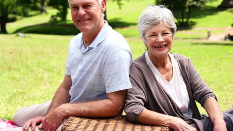 Feliz-Pareja-De-Ancianos-Relajándose-En-El-Parque-Haciendo-Un-Picnic