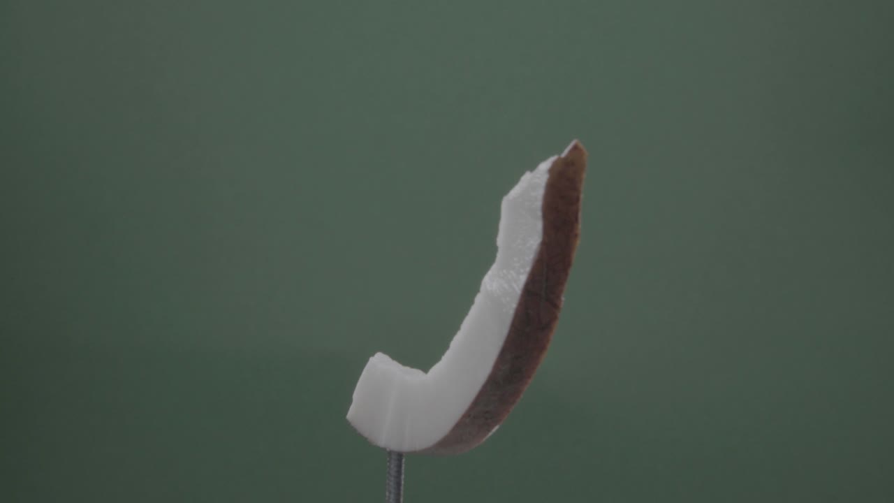 크로마 키를 위해 녹색 화면에 루프와 함께 코코 회전