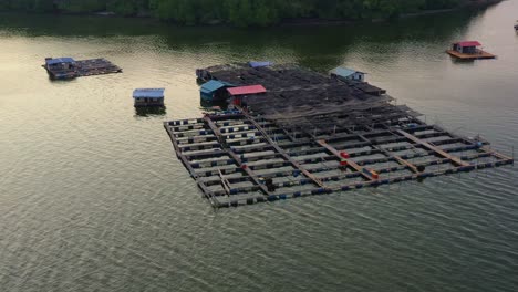 aerial birds eye view flyover traditional floating fish farms on calm waters, tilt up reveals distant bridge and mountain in the background, wooden structures with cages and nets used for aquaculture