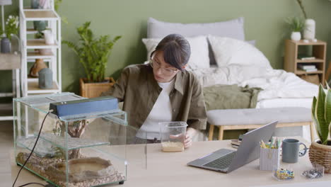 Junge-Frau,-Die-Eine-Maus-In-Ein-Terrarium-Setzt,-Während-Sie-In-Einem-Modernen-Studio-Apartment-Am-Tisch-Sitzt