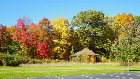 a small house sits within colorful trees and leaves, in early autumn, as the camera pans