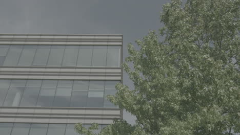 abstract slowmotion shot of a static office building on a sunny day with reflections in the glass of the sun a green trees in front log