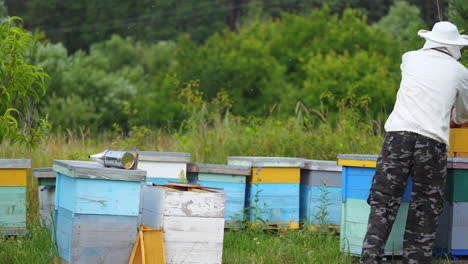 beekeeper at apiary at the summer day. man working in apiary. apiculture. beekeeping concept.
