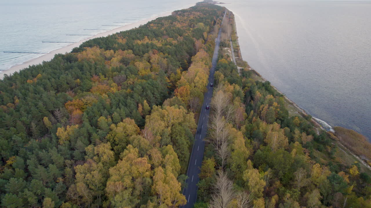 largo camino que se extiende entre un bosque dorado de otoño y una playa al atardecer - hel peninsular