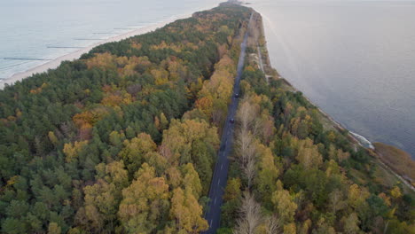 long road stretching between a golden autumn forest and a beach at sunset - hel peninsual