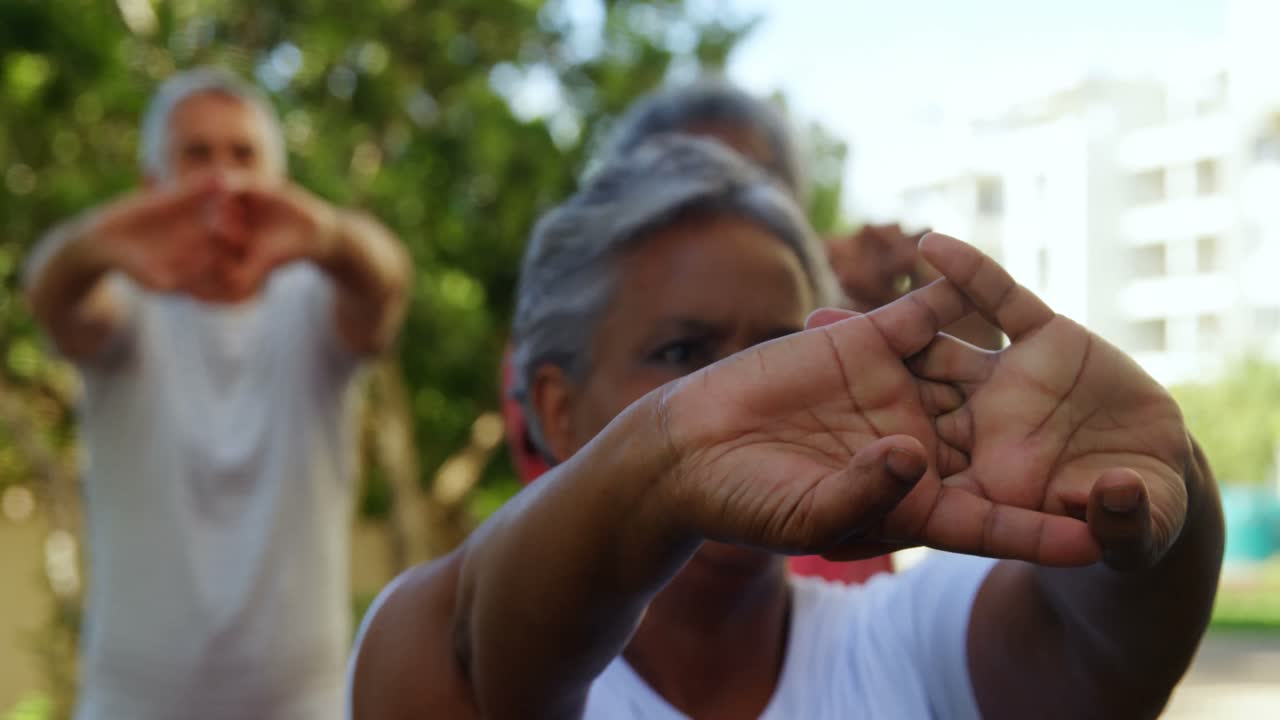 고령 친구 들 이 정원 4k 에서 스트레칭 운동 을 하고 있다