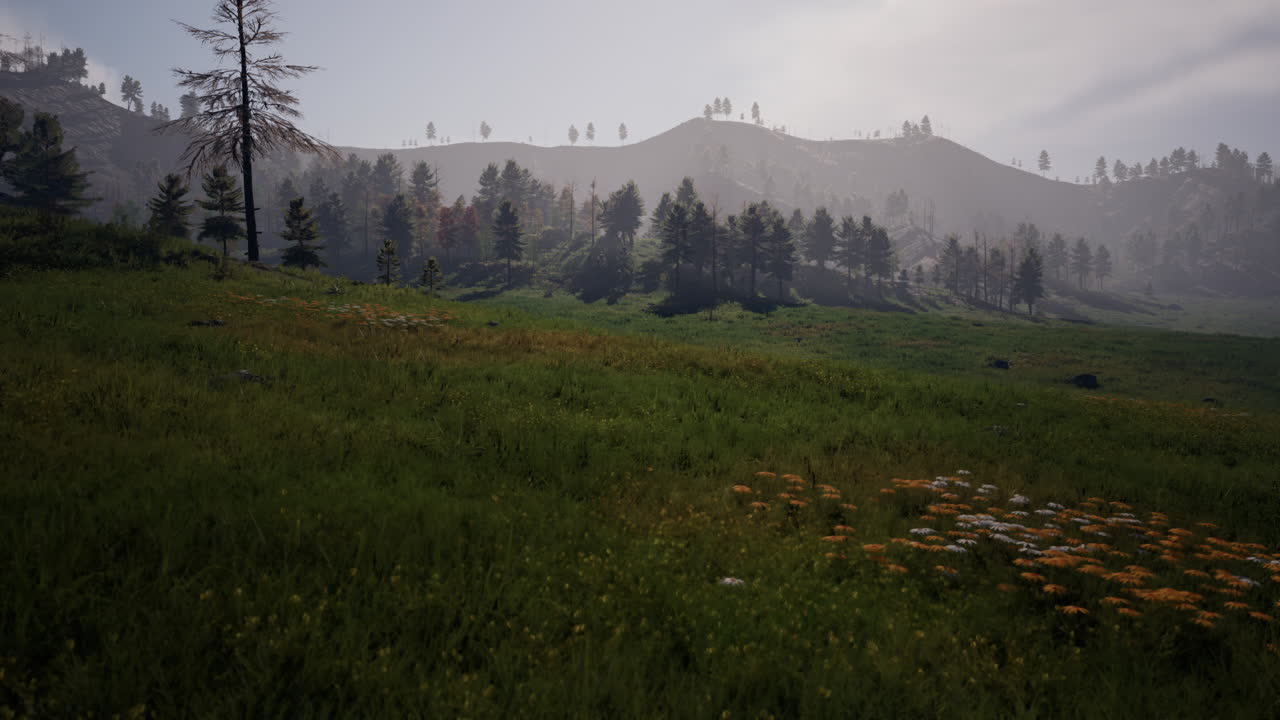 paisaje sereno de pastizales de montaña