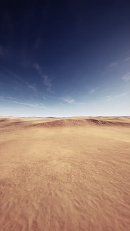 desert landscape