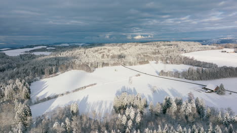 snowy forest and clearing on winter sunny day in jorat woods near lausanne, vaud, switzerland