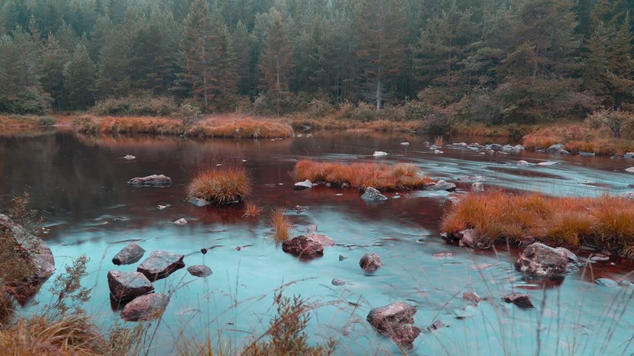 Gloomy autumn forest on the banks of the shallow river with a rocky bottom in a timelapse video