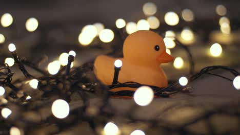 toma de primer plano de un pato de goma en el fondo de una guirnalda de navidad en un playd. decoración del hogar