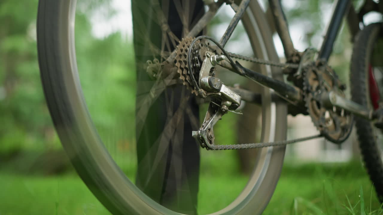 잔디에 주차된 자전거 에 서있는 개인의 클로즈업, 사람은 뒷 타이어를 약간 들어 올리고 잠시 페달을 으며 타이어를 회전시켜 흐릿한 배경으로
