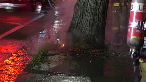 Baum-Fängt-Auf-Der-Straße-Feuer