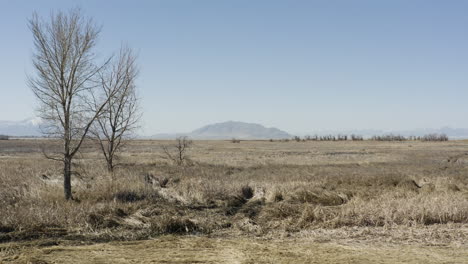 Tierra-Desértica-Seca-Junto-Al-Lago-Utah---Toma-Aérea-De-Establecimiento-Con-Espacio-De-Copia