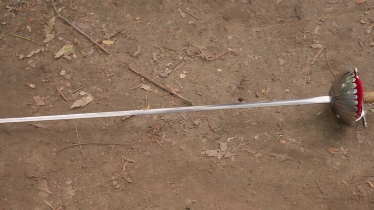 Close up of sword with silver blade and red velvet hilt resting on dry dirt ground scattered with small twigs and leaves. scene shows weapon in detail against outdoor natural background