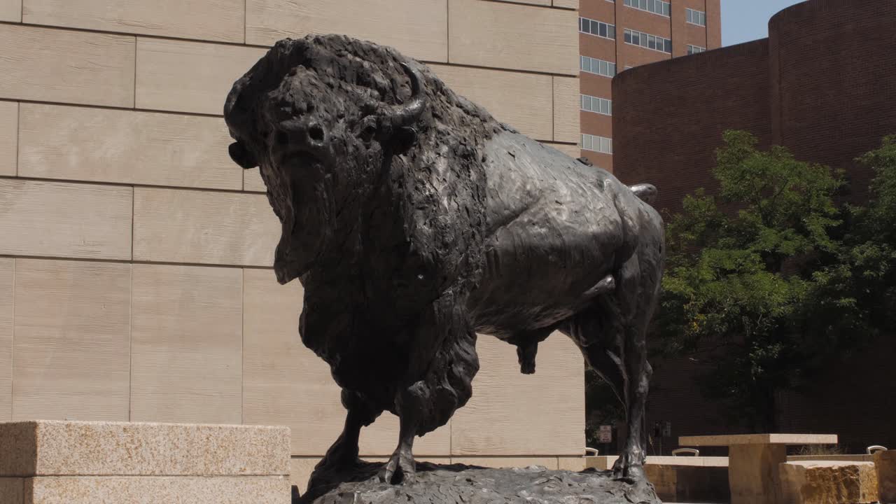 Bronze Bison Statue in Urban Setting