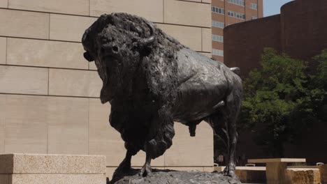 bronze bison statue in urban setting