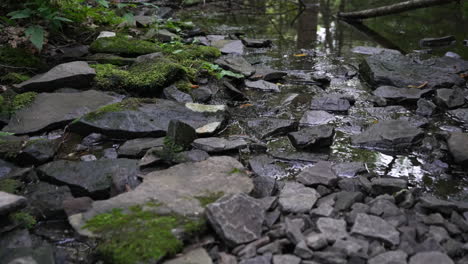 Río-Forest-Creek-Con-Pequeñas-Piedras-Planas-Negras-Fondo-Natural