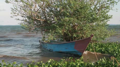 Un-Tradicional-Barco-De-Pesca-De-Madera-Se-Mece-De-Un-Lado-A-Otro-En-Pequeñas-Olas-Mientras-Está-Atracado-Entre-Juncos-En-El-Lago-Victoria