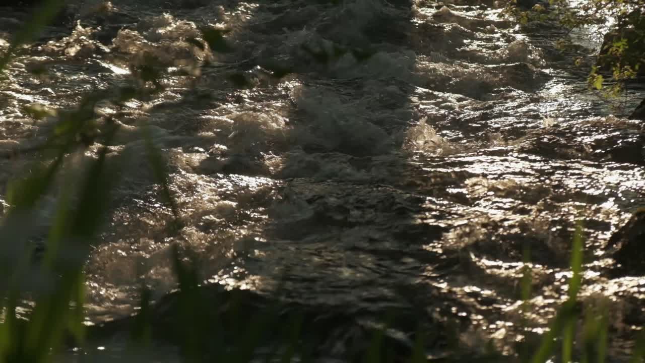 Quiet river stream during evening sunset vibe with grass and shadows 4K 120p slow motion