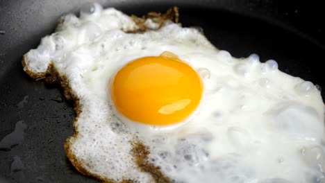 egg in frying pan – timelapse.