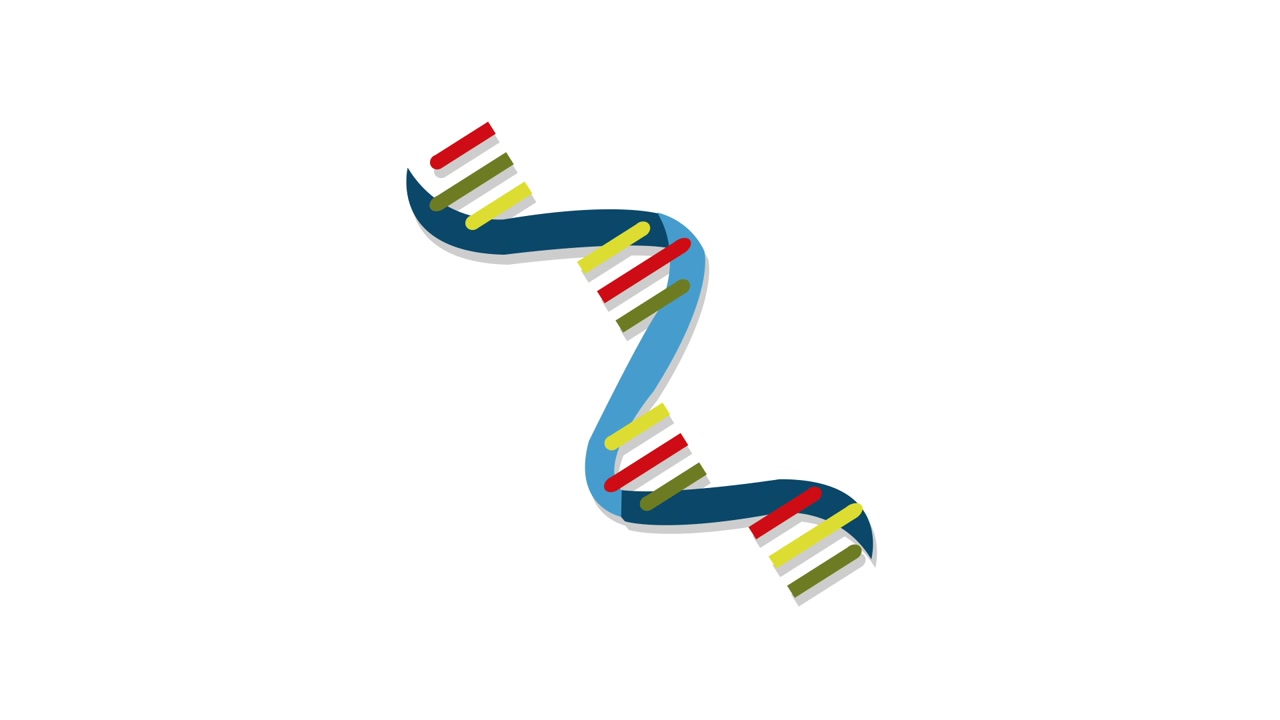 Animated DNA Double Helix Structure Forming