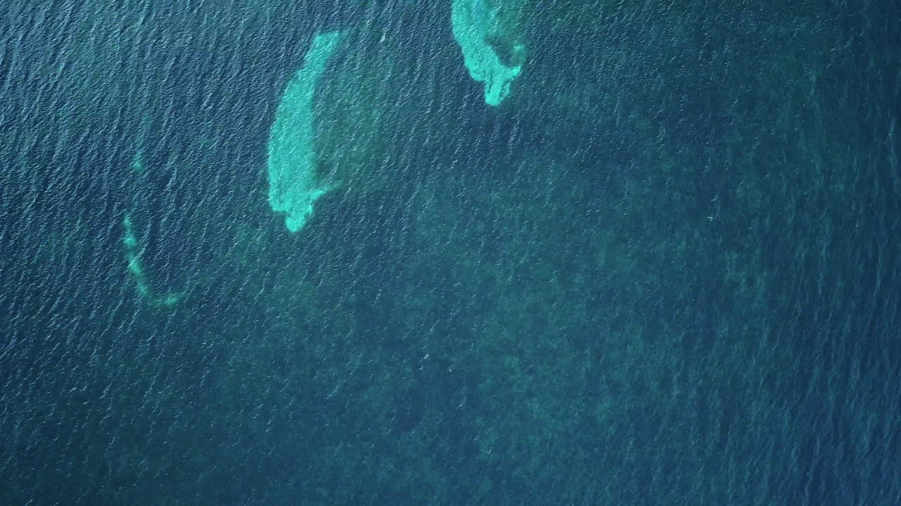 콜롬비아 카리브해의 공중 천정