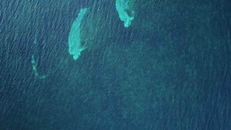 aerial zenith of the caribbean sea in colombia