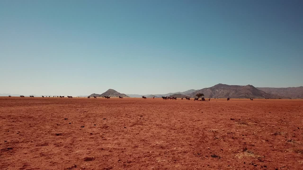namibia desierto de kalahari en áfrica