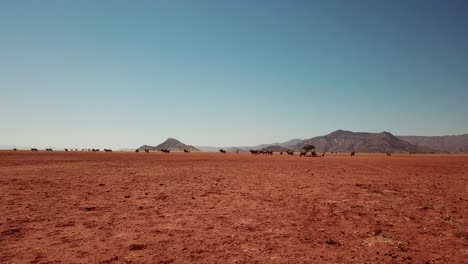 namibia kalahari desert in africa