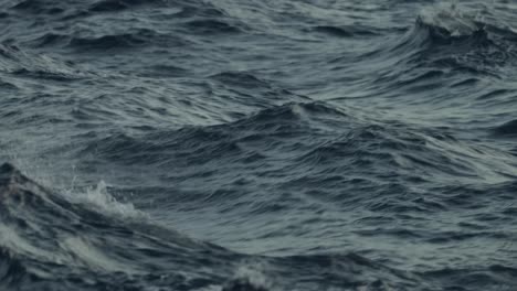 acción de las olas por el movimiento de un yate.